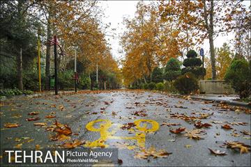 پاییز در بوستان رازی 5
