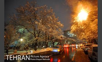 روز برفی در پارک لاله 20