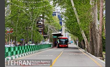 ولیعصر(عج)؛ خیابانی به درازای خاورمیانه 17