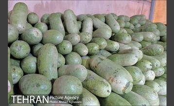 میدان میوه وتره بار شهید غیبی شهرری 13