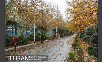 پاییز در بوستان رازی 25