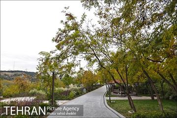 طبیعت پاییزی بوستان فدک 4