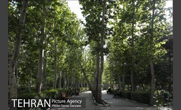 بوستان فدک‎ 19