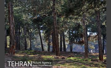 پارک جنگلی سرخه حصار 25