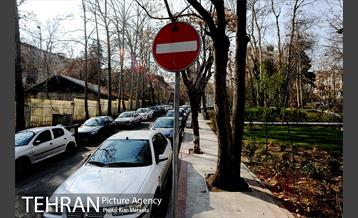 بوستان قلمستان 8