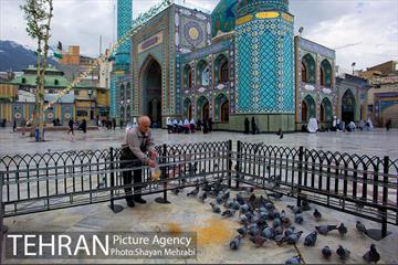 امامزاده صالح (ع) 24