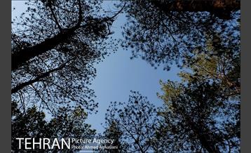 پارک جنگلی چیتگر 23