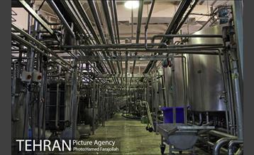 خط تولید شرکت صنایع شیر ایران 22