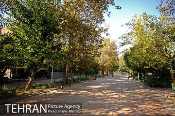 بوستان هنرمندان (ایرانشهر) 6