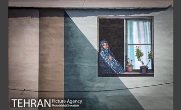 دیوارهای چشم نواز در منطقه 7