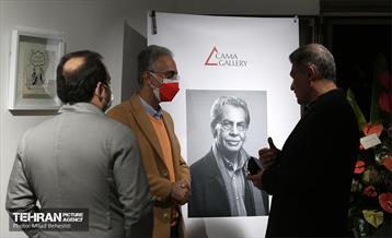 نمایشگاه آثار منتشر نشده کامبیز درم بخش  13