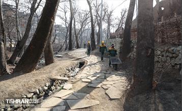 اینجا کارگاهه؛ اکو پارک فرحزاد 6