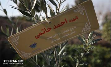کاشت نهال به یاد شهدا در برج میلاد 14