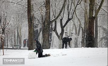 بارش برف در تهران 26