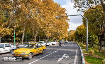 سمفونی رنگ های پاییزی  25