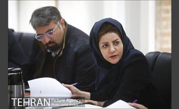 جلسه کمیته نشست های تخصصی AMF 10