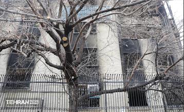 بازدید سفرا از تخریب اموال عمومی شهر 3