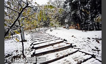 بارش برف پاییزی در بوستان طالقانی 19