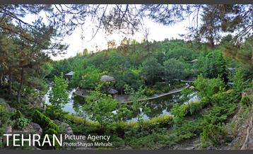 باغ پرندگان تهران 2