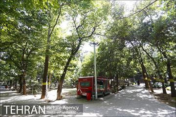 بوستان قیطریه 5