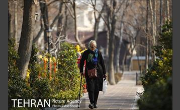 باغ ایرانی 11