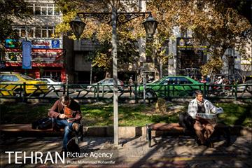 روزهای پاییزی کشاورز 7