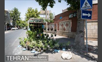 شهرنگار؛ محله بریانک 17