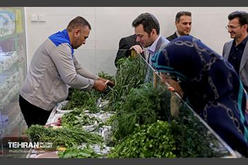 افتتاح بازار میوه و تره‌بار در منطقه 22 17