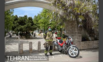 روز طبیعت بدون انسان 10