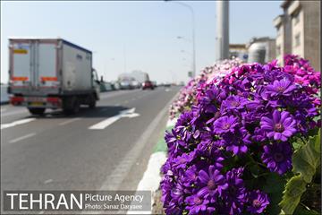 گل آرایی پل سیدخندان 22