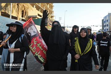 زائران حسینی؛ عمود سلام 25