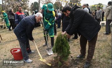 مراسم درختکاری در منطقه 15 4