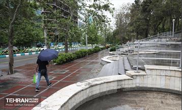 بارش باران بهاری در تهران - 1 22