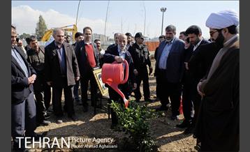 روز درختکاری در بوستان تبسم 10