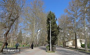 بهار در منطقه 18 30