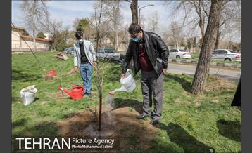 جشن نهال هاى کوچک شهر و تخم مرغ هاى رنگى در منطقه ٩