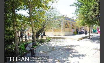 یازدهمین تور عکاسی آژانس عکس تهران از مکان های شاخص منطقه پانزده 16