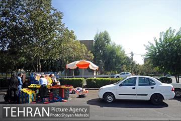 میوه فروشان خیابانی 20