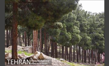 پارک ملی سرخه‌حصار 27