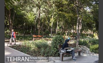 بوستان باغ ایرانی 13