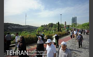 همایش پیاده روی خانوادگی کارکنان شهرداری 29