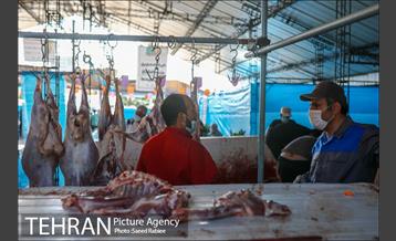 مرکز عرضه دام بهداشتی به مناسبت عید قربان در منطقه 22 تهران 2