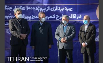 بازدید و افتتاح پروژه جنگل کاری 1000هکتاری در بوستان جنگلی تلو 17