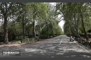 بوستان بانوان نرگس 27