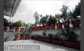 بالکن های رنگی 2