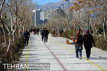 بوستان پلیس 42