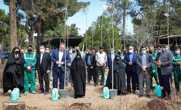 روز درختکاری با حضور مادران شهدا 8