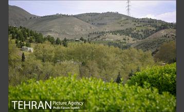 روز طبیعت در بوستان هاى منطقه ٥