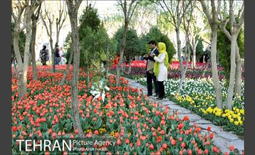 جشنواره لاله‌ها در بوستان زندگی محله هرندی 23