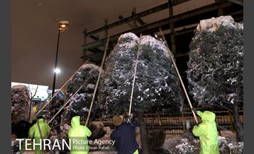 بازدید شبانه مدیران شهری از سایت های برف روبی  4